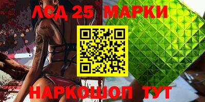 гидропоника Будённовск