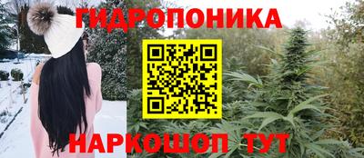 крисы Бузулук