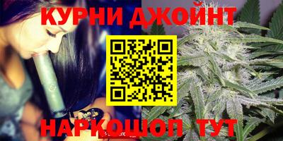 крисы Бузулук