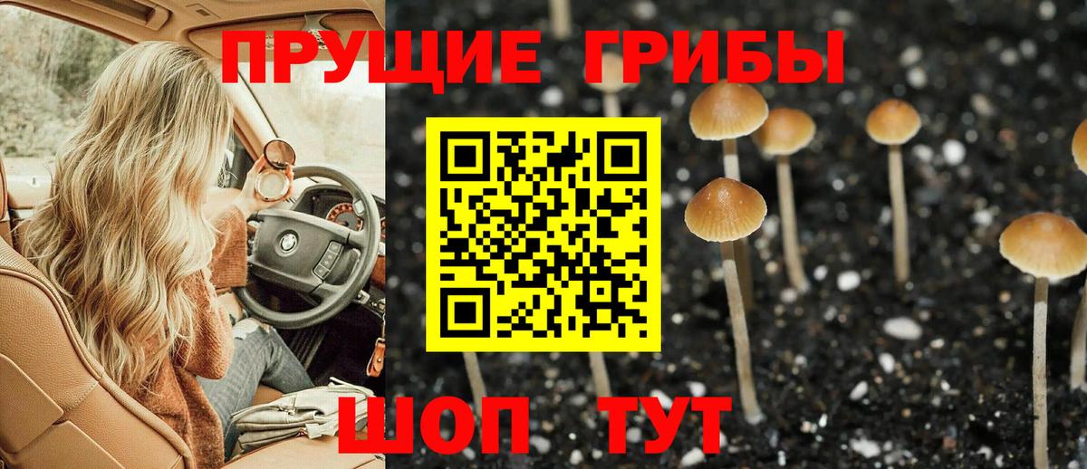 Галлюциногенные грибы прущие грибы Сертолово