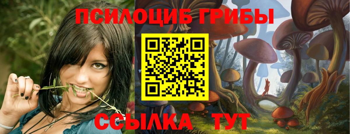 Галлюциногенные грибы Magic Shrooms  Вход с VPN  Сертолово 